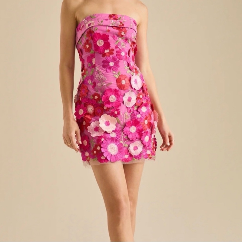 D3 - Altar'd State Pink Floral Embroidered Mini Dress